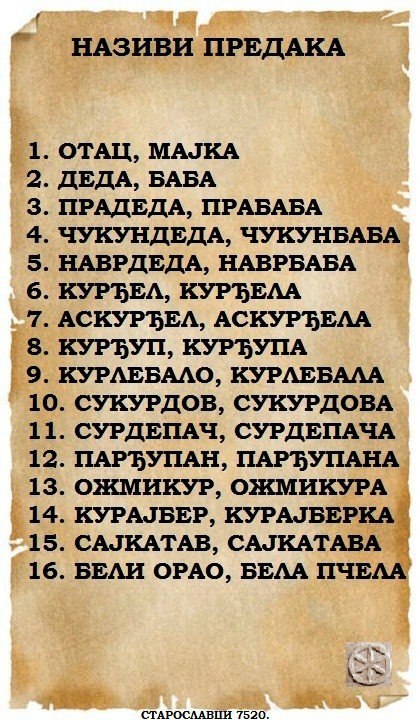 16 колен Предков в сербском языке